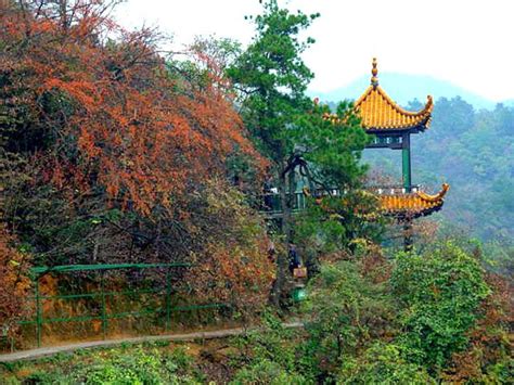 韶山峯有哪些景點？看過《三國演義》的人一定會對魯子敬有著深刻的印象，他提出的“湘江之畔，有一座雄偉的山峰”就是指的韶山峯。